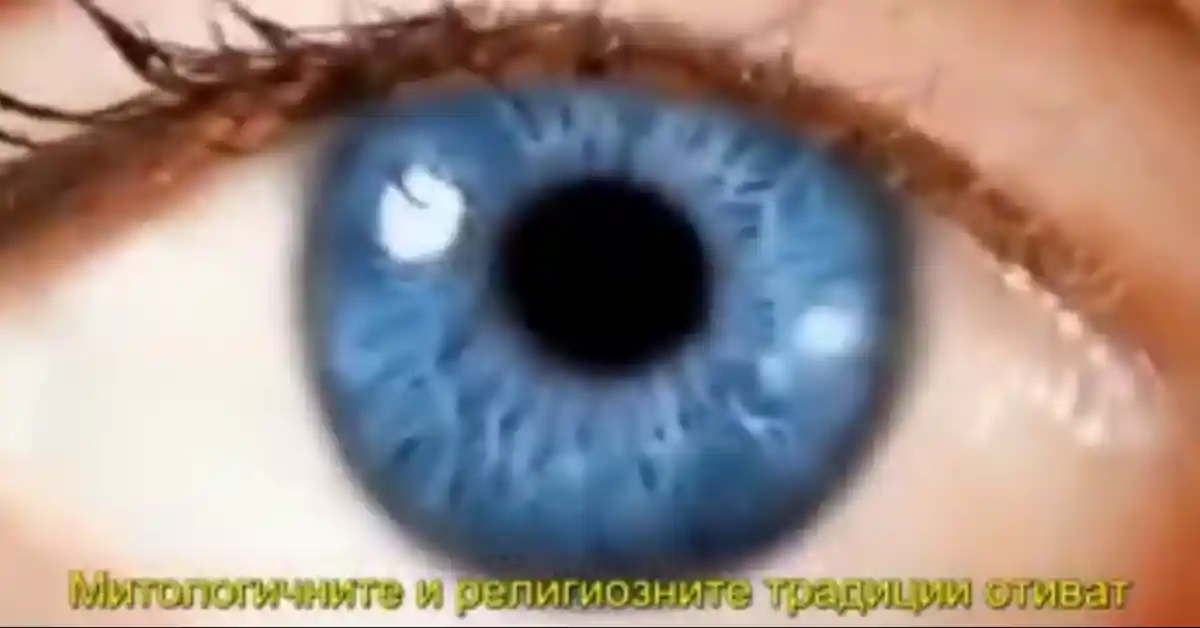 Най-належащият проблем на човека днес е загубата на смисъл.