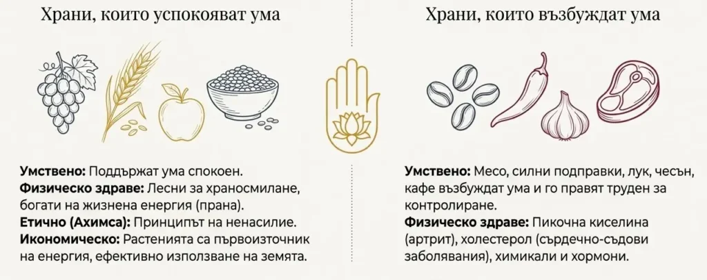 Илюстрация, изобразяваща различни видове храни